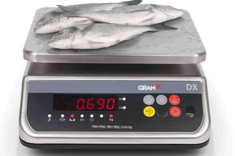 Adquirir balanzas industriales en la tienda online Balanzas Digitales