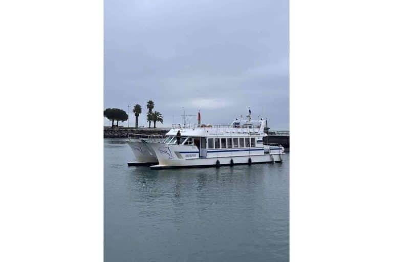 Descubrir la belleza y la riqueza cultural de la costa donostiarra, de la mano de Ciudad San Sebastián