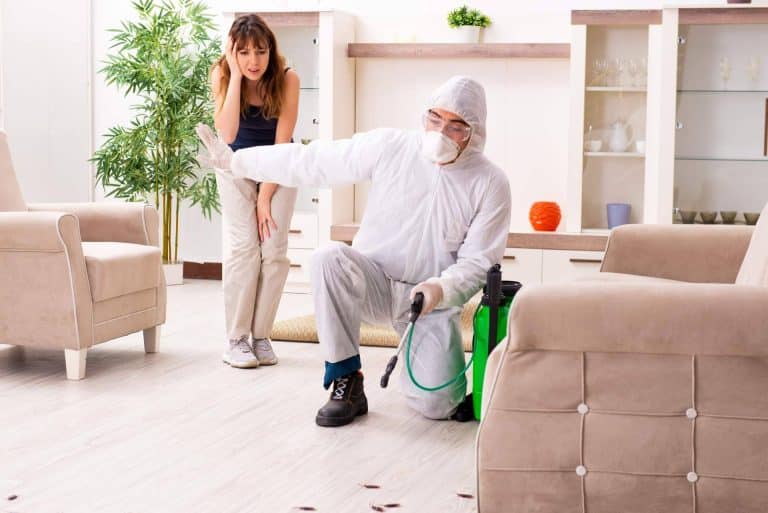 Productos Antiplagas y su gran variedad de trampas para moscas e insecticidas para cucarachas