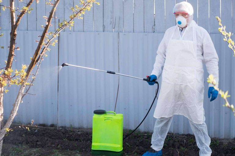 Pineda Servicios Integrales, una empresa especialista en control de plagas con la que ahorrar y rentabilizar el presupuesto