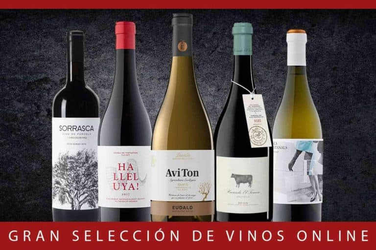El espacio para el vino gourmet en internet, Caldeu