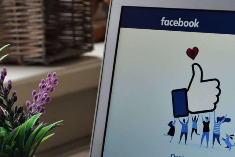 La compañía centrada en la gestión de Facebook Ads para que las empresas dirijan su contenido a los clientes ideales, Tuwebestalista.com