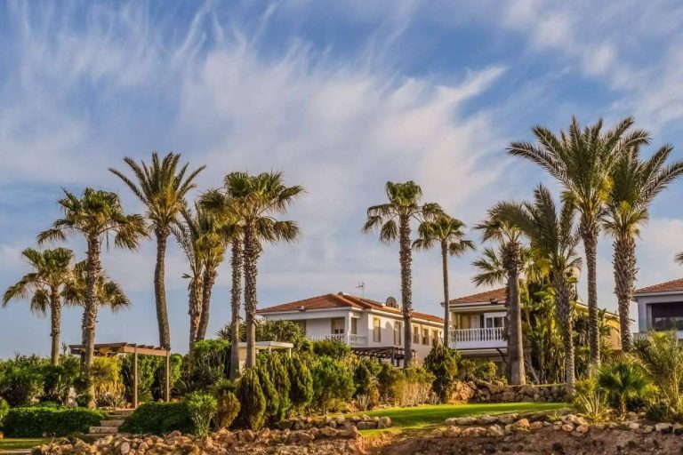 Servicio integral en inversiones inmobiliarias, con la consultoría inmobiliaria Alemany Real Estate