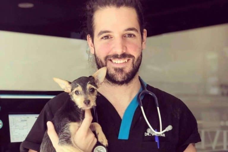 ¿Por qué es importante la esterilización animal?, por el Hospital Veterinario El Bosque