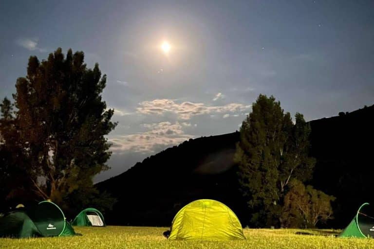 Apuntarse a los campamentos de verano 2023 de Aula Joven