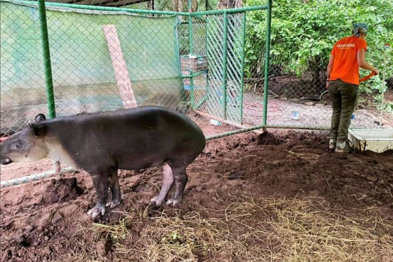 Cooperatour, la ONG especializada en la gestión y organización de voluntariado internacional