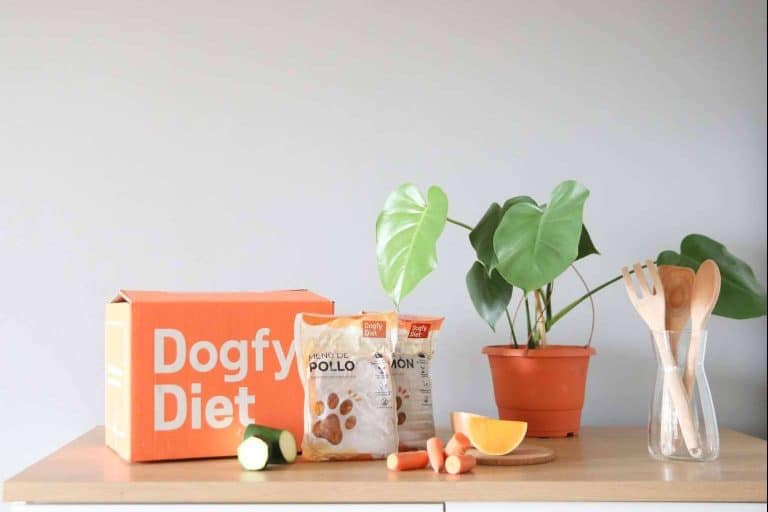 Comida natural para perros, la alternativa alimentaria de Dogfy Diet que fortalece el sistema inmune entre otros beneficios