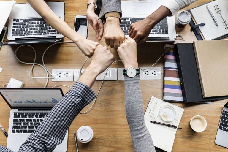 ¿Cómo puede el SEO beneficiar a una empresa?, por ZEWS