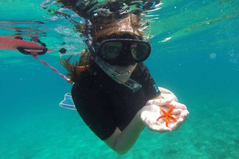 Conocer Marsella con las excursiones para cruceros de Planetazur Experiences