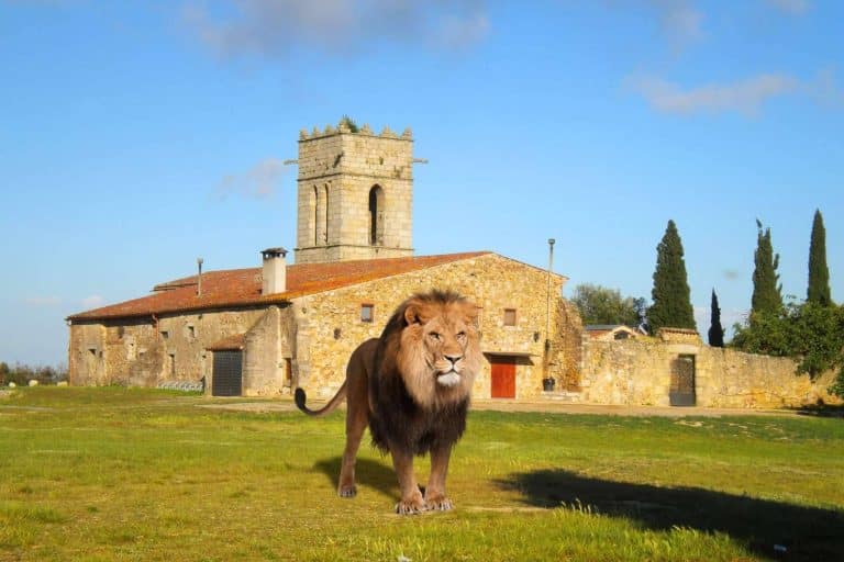 ¿Existe el zoo virtual?