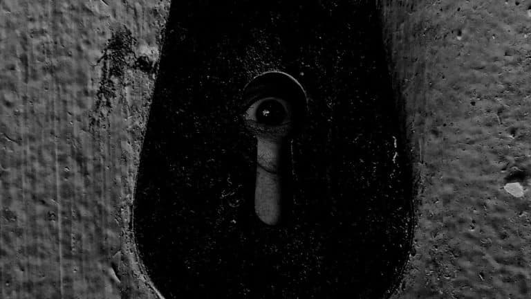 ¿Qué es la manía persecutoria?