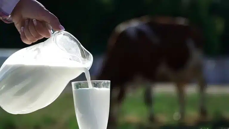 Inés Moreno desmonta el mito de la leche: ¿eres realmente intolerante a la lactosa?