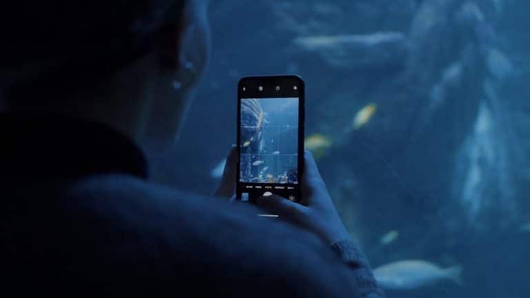 El curioso Museo Subacuático de Arte.