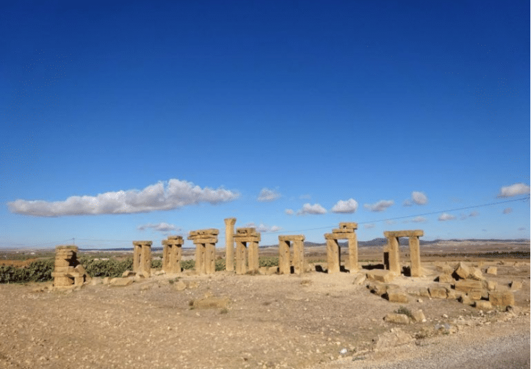 Las ayudas de Fundación Palarq para excavaciones y análisis de bienes arqueo-paleontológicos alcanzan por primera vez proyectos e instituciones en todo el país