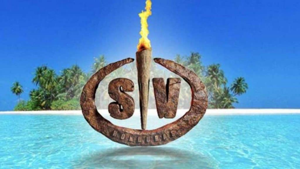 Los motivos de Navarrete