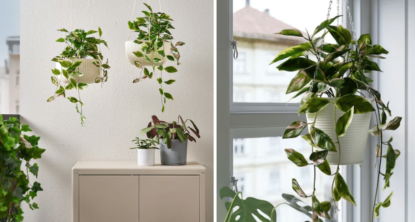 Plantas colgantes artificiales