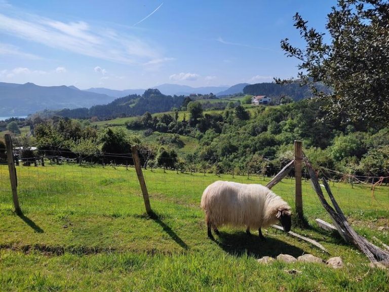 Fin de semana de sol y calor veraniego, con temperaturas de más de 20ºC en general y hasta 32ºC en el este