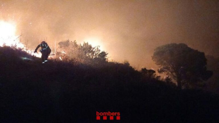 Unas 40 dotaciones de bomberos trabajan en un incendio forestal en Selva del Camp (Tarragona)