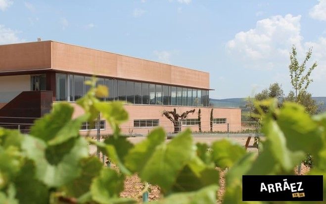 BODEGAS ARRÁEZ ha puesto en marcha la plataforma CEDEC BI para mejorar el control de su gestión empresarial 1 Comunicado CEDEC Bodegas Arrez