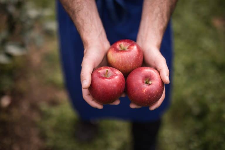 La manzana Cosmic Crisp llega a España y establece estándares completamente nuevos