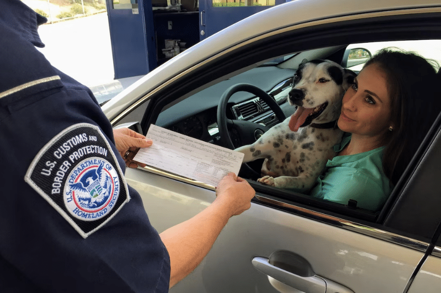 Perder puntos en el carné de conducir
