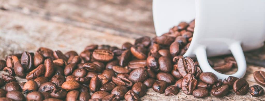 Comprobación genética