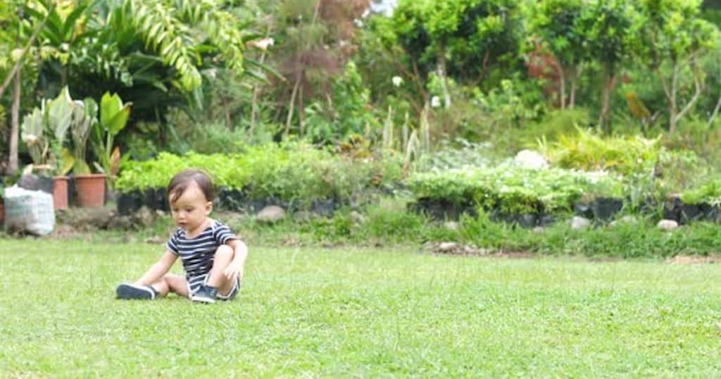 Base científica de la luz del sol