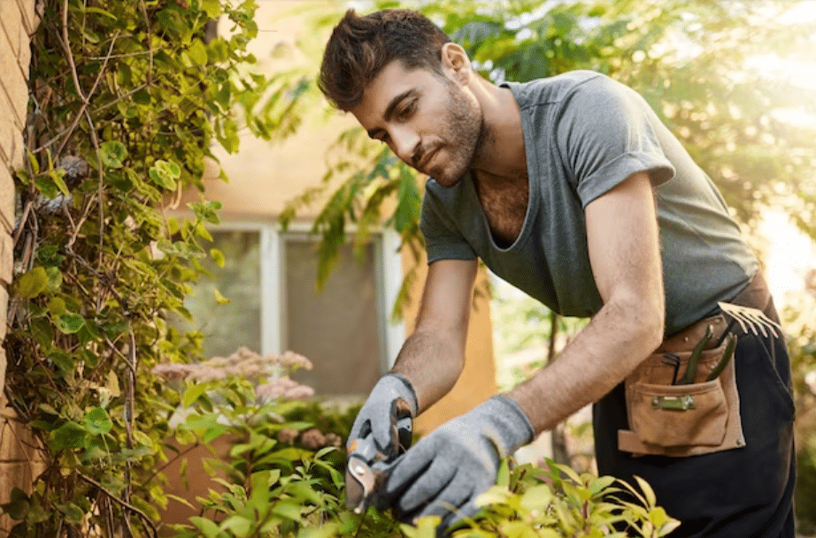 Los complementos para tu jardín de Aldi que no encontrarás ni en Ikea