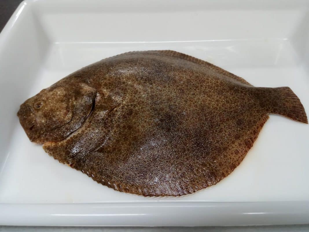 Contra la inflación: los pescados más baratos, ricos y nutritivos para recetas de diez