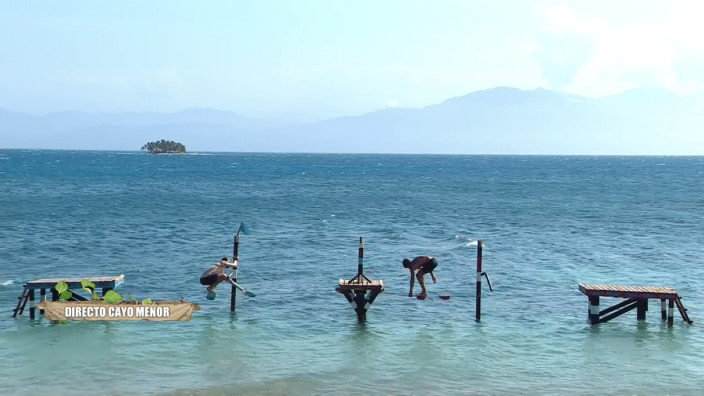 Prueba Supervivietnes