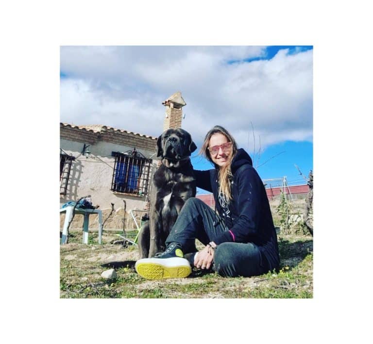 PERROBUENO, la guardería canina donde los animales pueden aprender comportamientos nuevos en Madrid