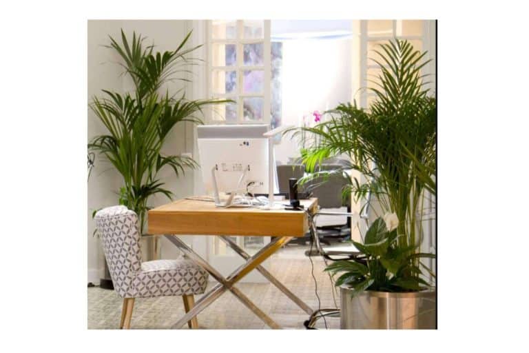 Espacios de coworking económicos y cómodos con WEKOW