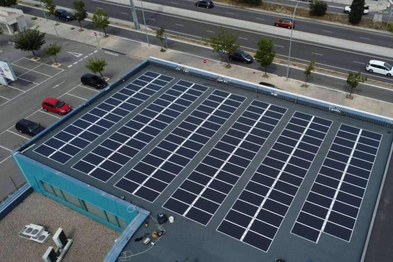 Mimma Gallery remarca su compromiso con el medioambiente