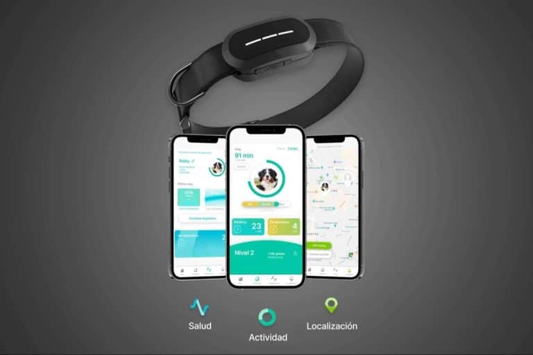 Impulsar el crecimiento de los negocios mediante el diseño UX