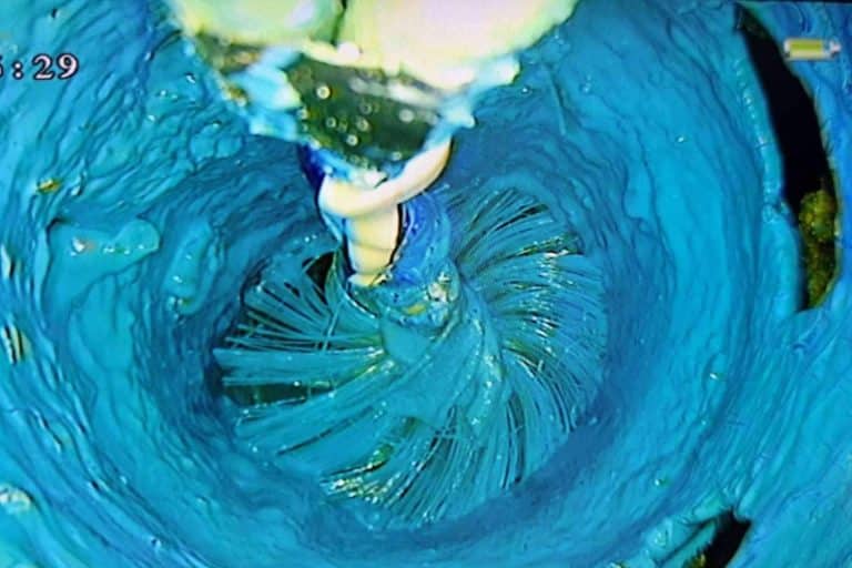 No Más Fugas, la empresa de detección de fugas de agua en Cádiz