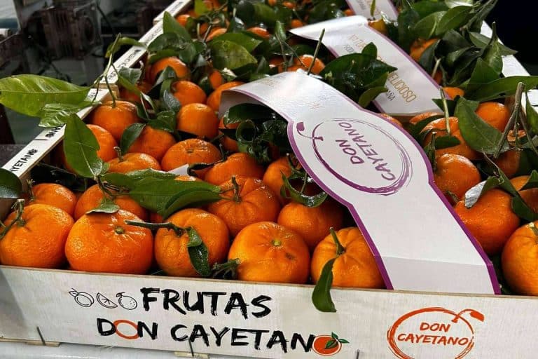 Las ventajas de la Mandarina orri, de la mano de Frutas Don Cayetano