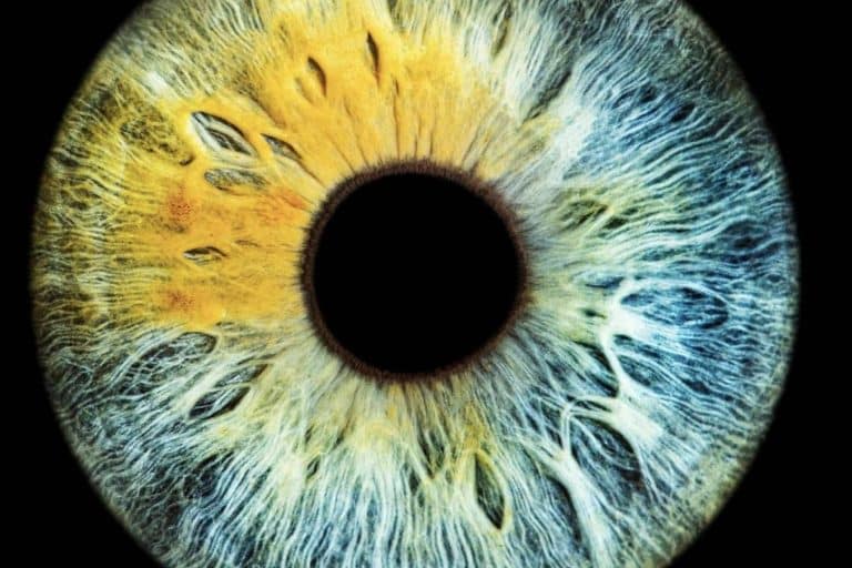 Nueva técnica fotográfica de alta definición del iris, con Eyecos