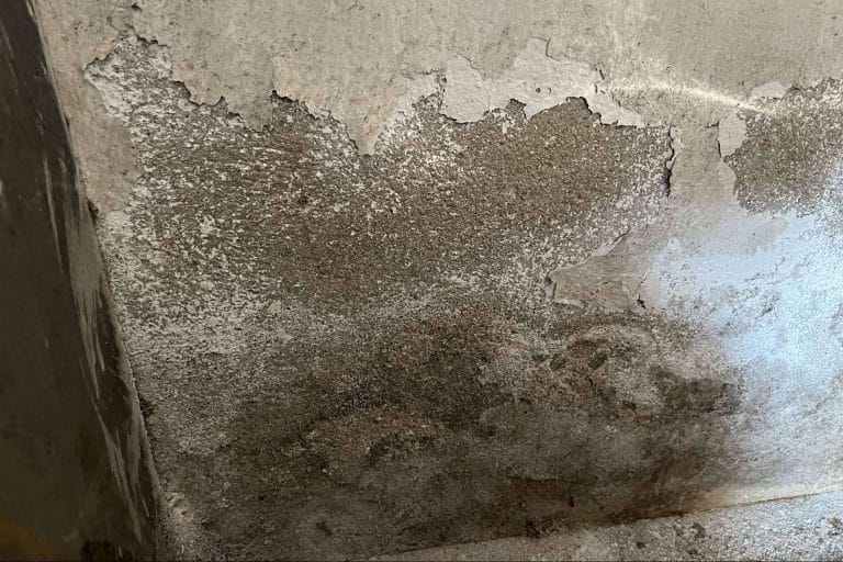 Una solución para la humedad por capilaridad, con Preactiva