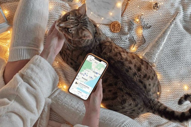 Encontrar veterinarios para reservar cita en tiempo real con VetEasy