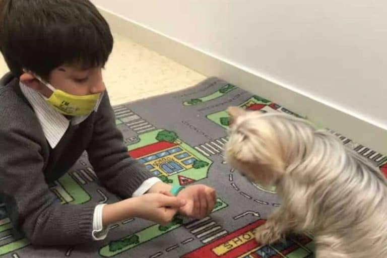 E-THERAPYKIDS, signos de alarma y factores de riesgo que permiten detectar los retrasos madurativos