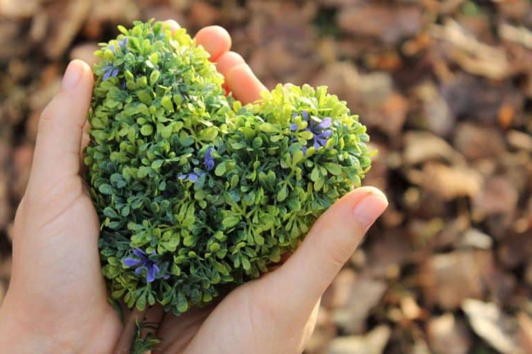 Los 'influencers de sostenibilidad', Brandarmies habla sobre esta nueva corriente