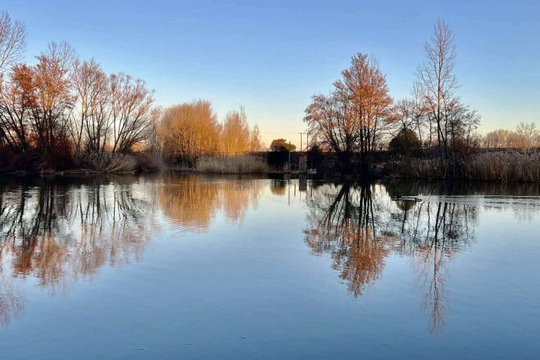 Viajar con la familia a espacios de diseño en la Ribera del Duero, con La Ren Lecres