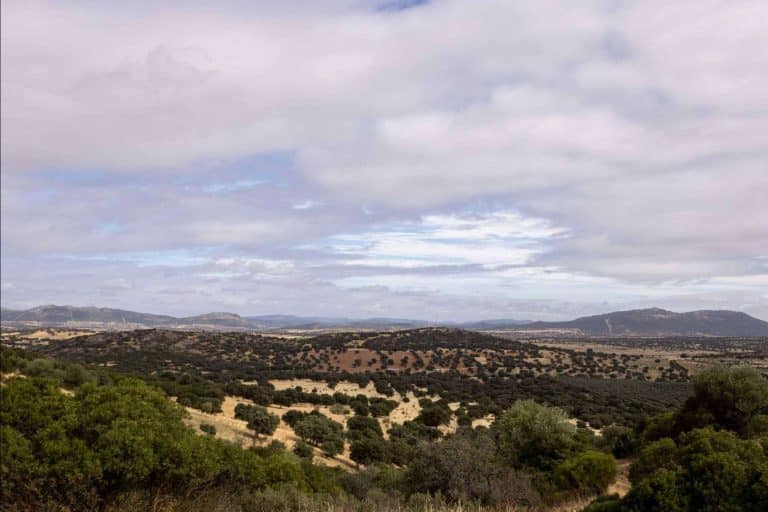 Disfrutar de las rutas de senderismo en Alamillo