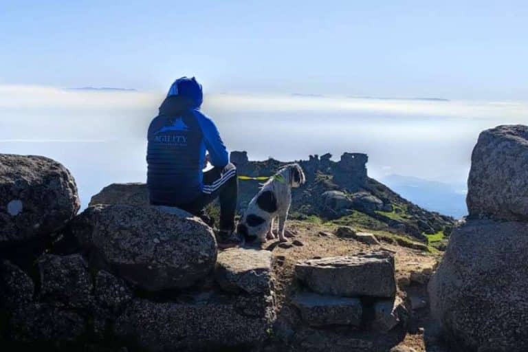 El nuevo curso de educación canina de los sábados de l'Almozara Can Bosc arrancó el pasado 11 de marzo