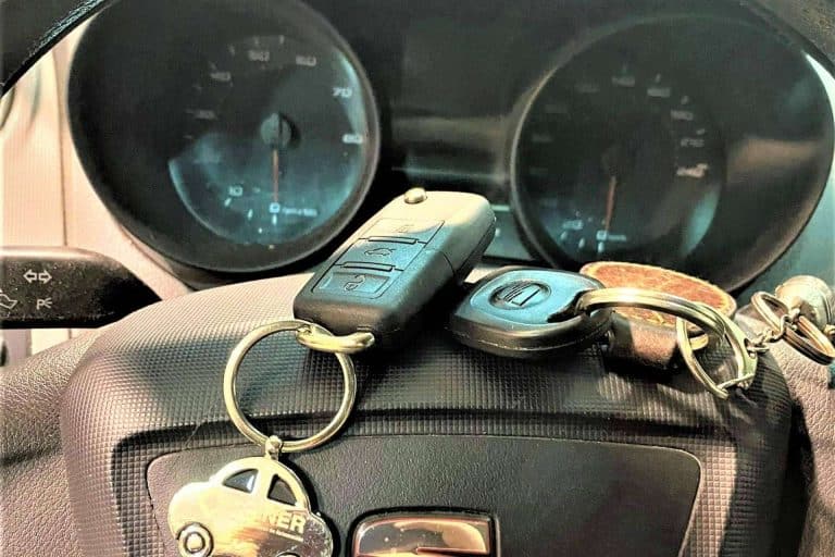 Esta es la evolución del incónico Seat Ibiza, por EGINER