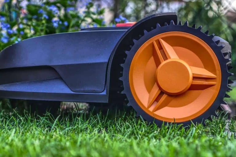 Cuáles son los beneficios de la instalación de césped artificial, por Sumigran