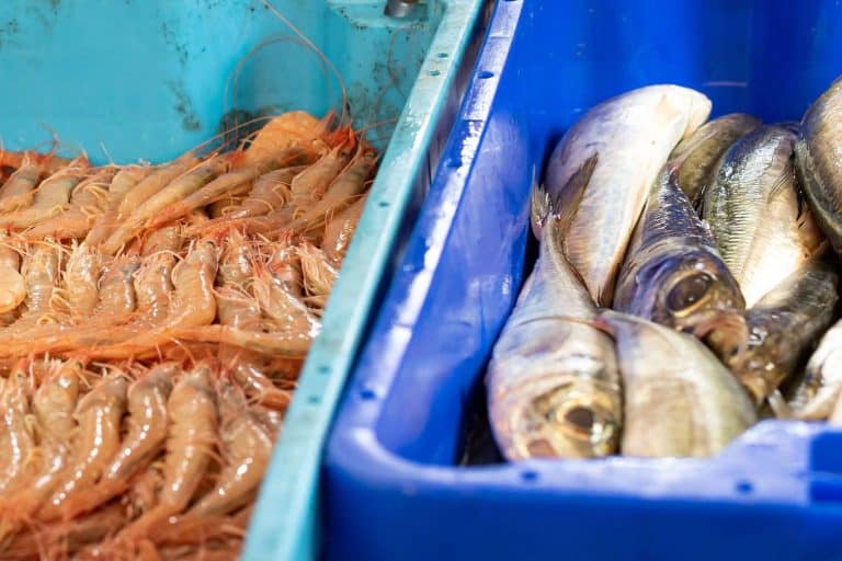 Venta de pescados y mariscos frescos con Lonja de Ayamonte