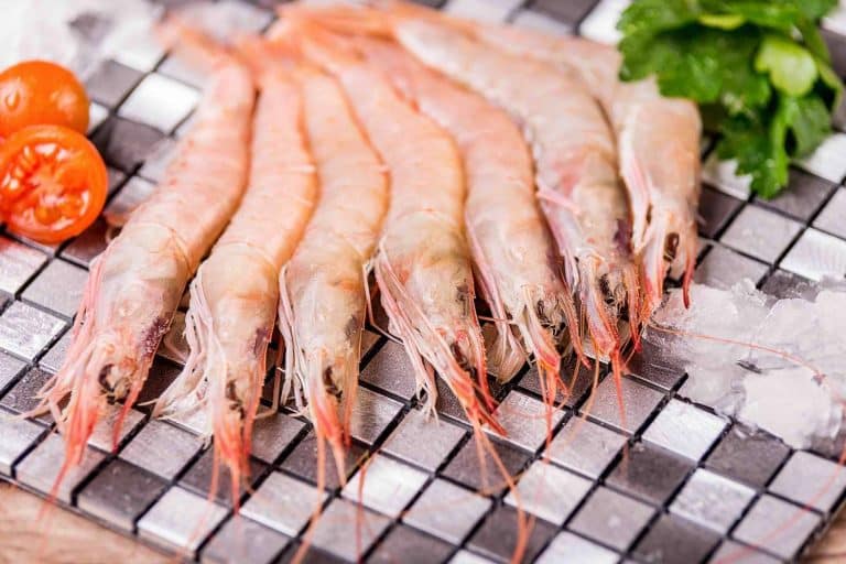 Conocer la diferencia entre gamba y langostino