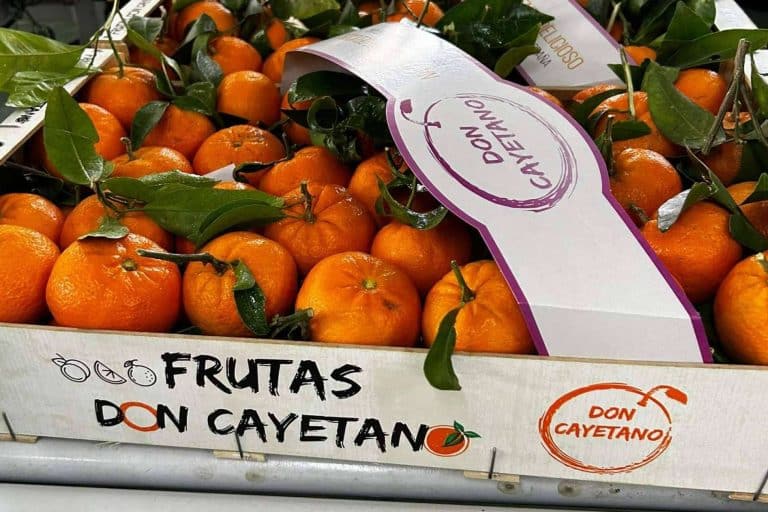 Se aproxima la campaña de fruta de hueso con Frutas Don Cayetano