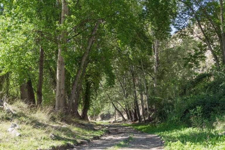 Turismo Almanzora presenta 5 cosas importantes para hacer en el interior de Almería